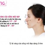 Những nhược điểm về mũi phù hợp để nâng sống mũi